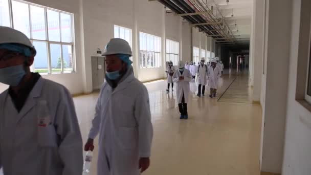 Una excursión a la fábrica en Shaghai, China 4 dic. 2017, las personas con túnicas blancas pasan por el taller de fábrica, lo que hace que los transformadores — Vídeos de Stock