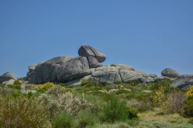 dağların tepesinde buzlu