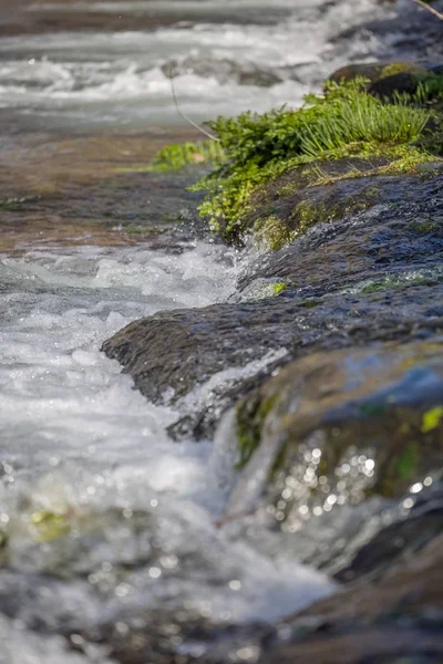 Utsikt över små vattenfall på floden med detaljer om vattenskum, klippor och flodvegetation — Stockfoto