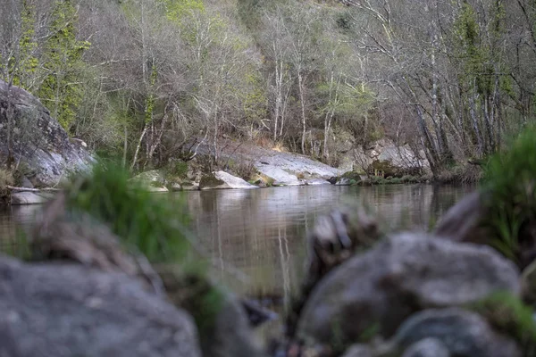 Vista de un río, con árboles, rocas y vegetación a orillas, reflejos en el agua y colores brillantes —  Fotos de Stock