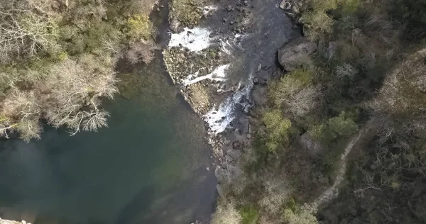 Fotografía aérea, foto del dron, río paisaje natural con y árboles de colores en las orillas — Foto de Stock