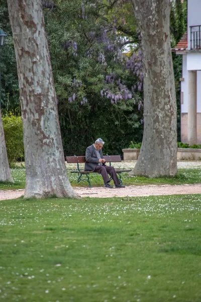 Blick auf einen alten Mann, der auf einer Bank sitzt, sich hinter den Gartenbäumen ausruht und sich im Park umschaut.oldertomar / portugal - 04 04 2019 : — Stockfoto