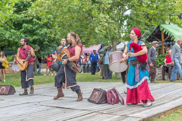 View of an outdoor celtic music concert, with musicians dressed in medieval costumes and playing medieval instruments, in medieval fair, people watching in the audience — 스톡 사진