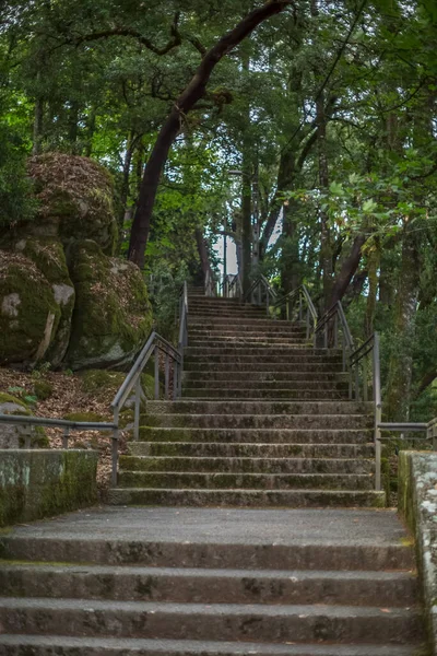 Вид на гранитную лестницу посреди леса — стоковое фото