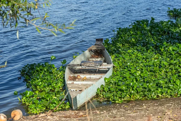 View Lake Aquatic Vegetation Old Wooden Fishing Boats Banks — Stock Photo, Image