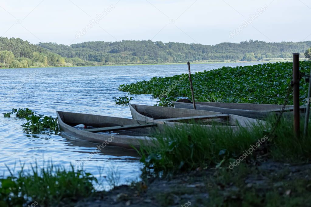 View of lake, aquatic vegetation and old wooden fishing boats on the banks...