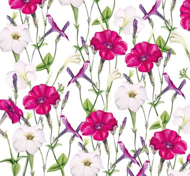 Petunya suluboya boya