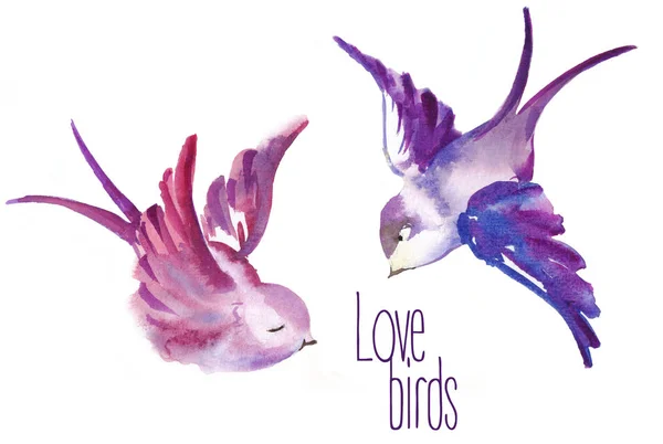 Boyalı kuş aşık suluboya — Stok fotoğraf