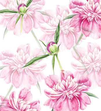 Pion suluboya boya beyaz arka plan üzerinde.