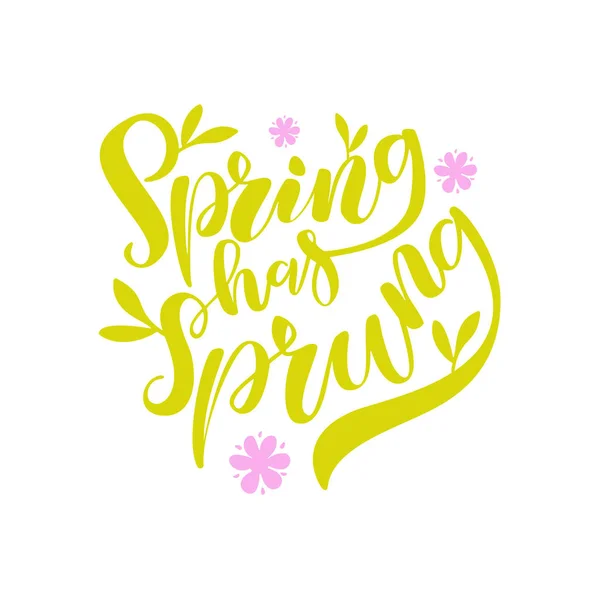 Primavera tem Sprung Brush Lettering — Vetor de Stock