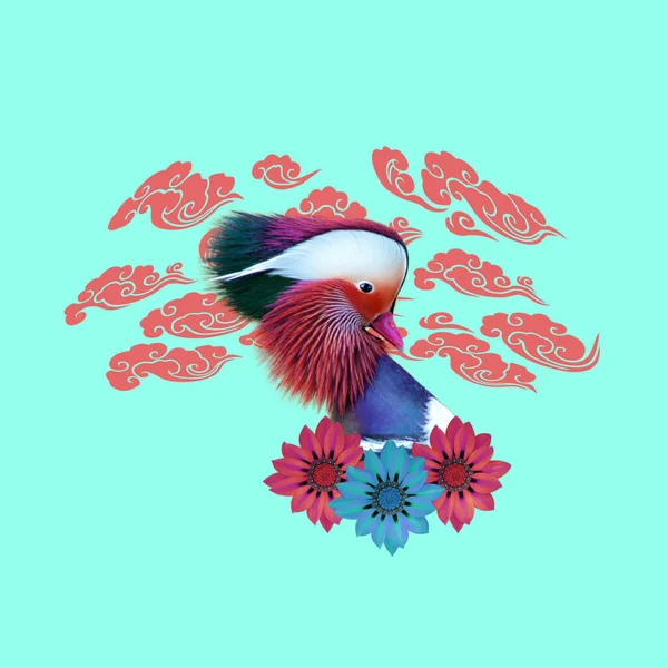 Seni Yang Lucu Konsep Burung Pada Latar Belakang Warna — Stok Foto