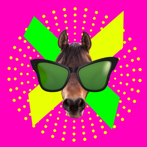 Contemporary Art Collage Concept Horse Wearing Sunglasses Colorful Background — Stock Photo, Image