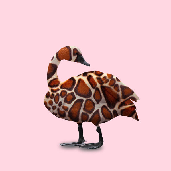 Contemporary Art Collage Concept Duck Giraffe Animal Print Stock Photo