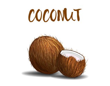 Tasarımınız ve vektör illüstrasyonunuz için izole edilmiş arka planda tüm ve kırılmış gerçekçi hindistan cevizi