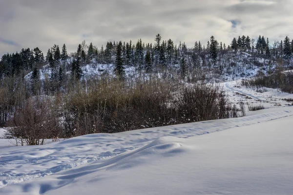 Wędrówki Zimowe Przez Park Karierą — Zdjęcie stockowe