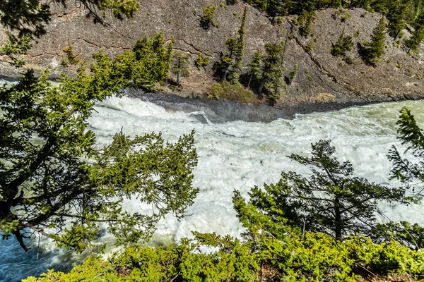 Río Bow Parque Nacional Banff — Foto de Stock