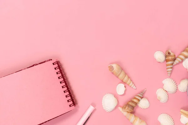 the notebook and pen, with sea shells on a pink background