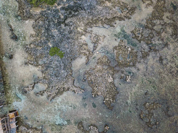 Воздушный Мертвый Коралловый Риф Фоне Пляжа Cloud — стоковое фото