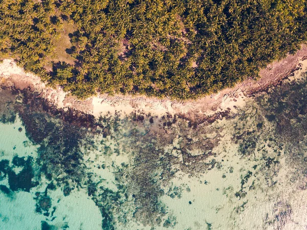 Bovenaanzicht Vanuit Lucht Daku Island Tropisch Paradijs Wit Zandstrand Kokospalmbos — Stockfoto