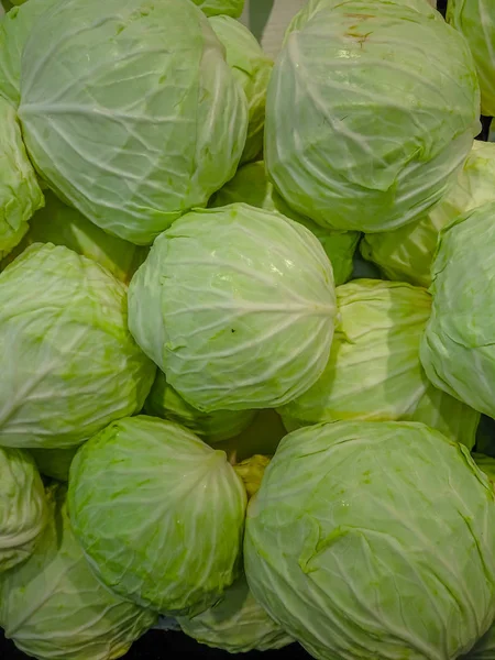Green Cabbage Vegetable Market Cabbage Group Stock Picture
