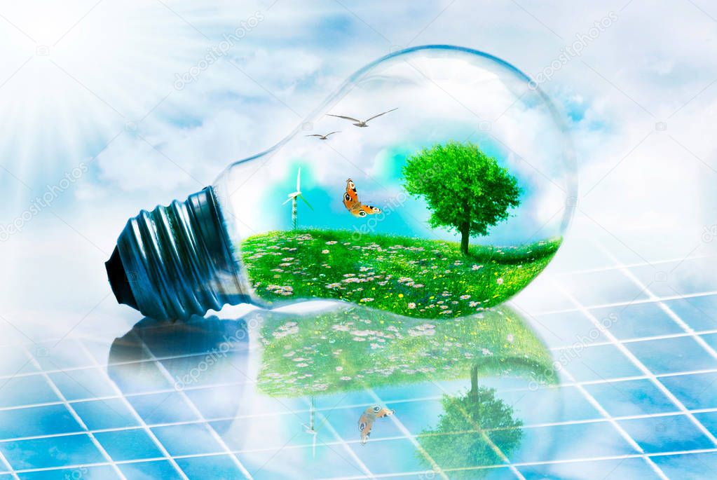 renewable energy and environment