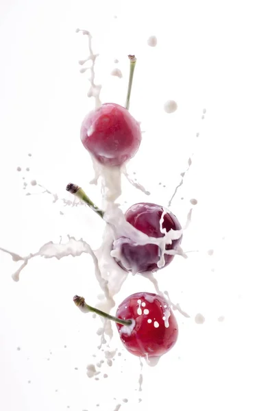 Salpicadura de leche fresca con cerezas sobre un fondo blanco — Foto de Stock