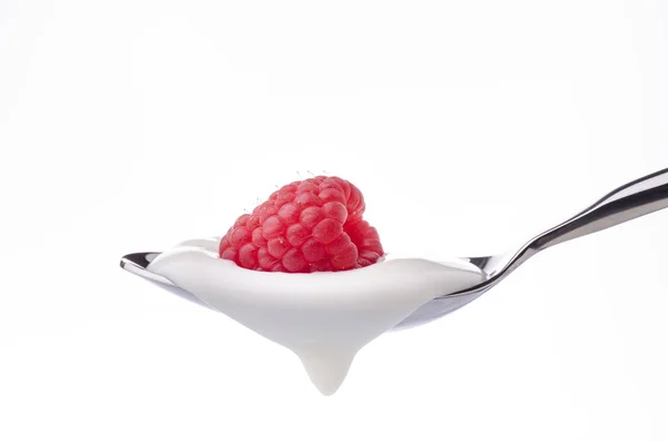 Crema de yogur blanco con frambuesa — Foto de Stock