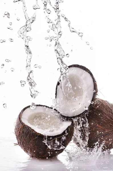 Świeży kokos z splash — Zdjęcie stockowe