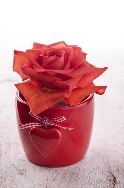 Rote Rose in Schale mit Herz — Stockfoto