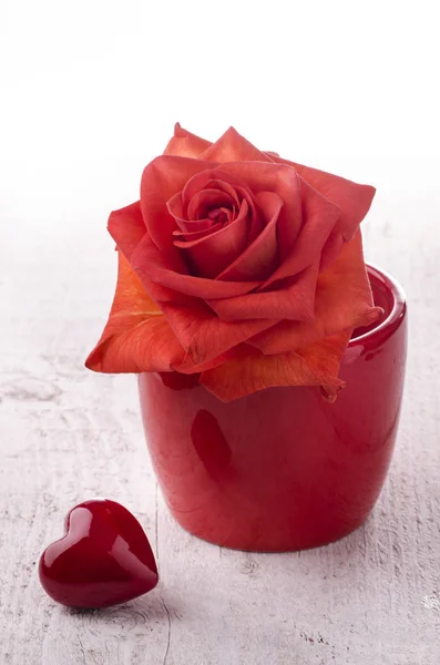 Rote Rose in Schale mit Herz — Stockfoto