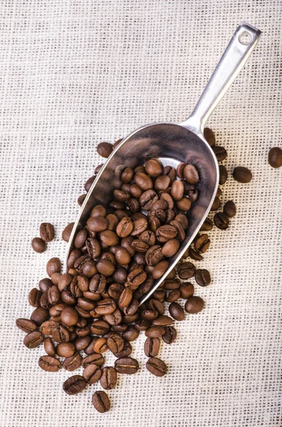 Close-up of roasted black coffee in beans — Stock Photo, Image