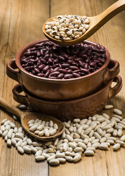 Dry beansin in terracotta pan — Stock Photo, Image