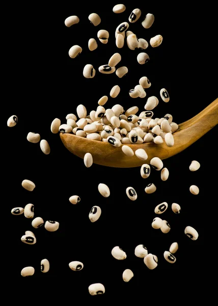 Type Dried Beans Fall Wooden Spoon — Stock Photo, Image