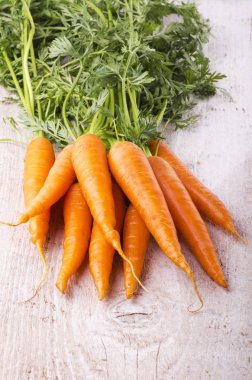 Yeşil püsküllü taze havuç.