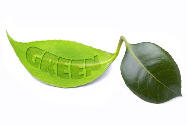 ekolojik çevre ve sürdürülebilir kalkınma