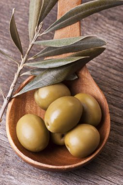 zeytin dallı yeşil zeytin