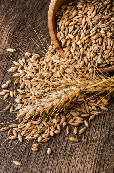 Primer plano de granos y espigas de trigo —  Fotos de Stock