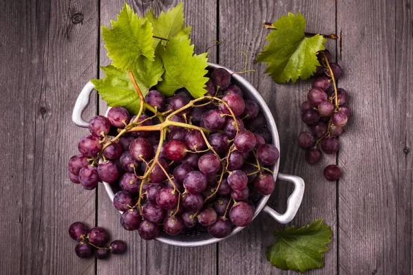 Nature morte, raisins rouges à la vigne — Photo
