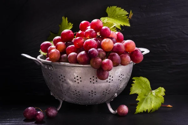 Bodegón, uvas rojas con vid — Foto de Stock