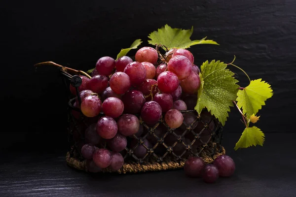Bodegón, uvas rojas con vid — Foto de Stock