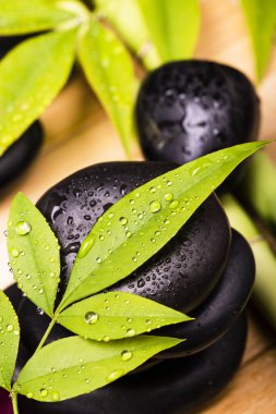 Üstü örtülmüş yeşil yapraklarla örtülmüş siyah taşlardan...