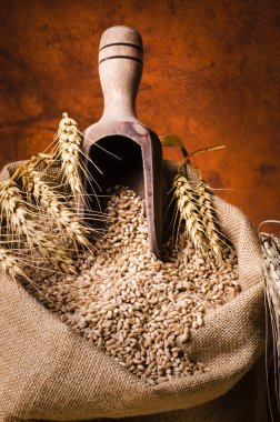 in the foreground a jute sack with pearly spelled grains clipart