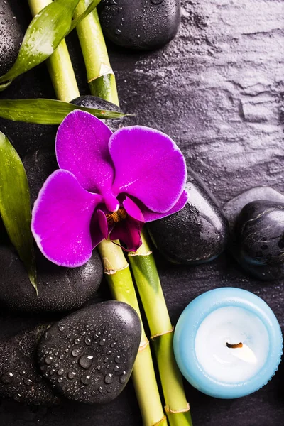 Spa Group Piedras Negras Con Una Flor Orquídea Púrpura Hojas — Foto de Stock