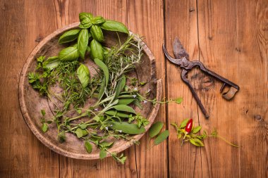 Kaba ahşap masada taze kokulu bitkiler var.