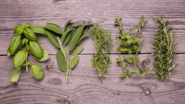 Kaba ahşap masada taze kokulu bitkiler var.