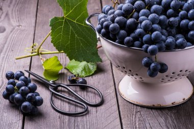 Sert ahşap masada eski bir kevaşe içinde siyah üzümlerle dolu bir hayat