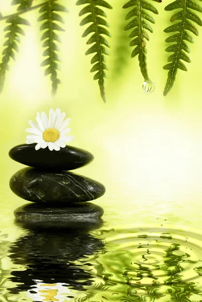 Zwarte Stenen Massage Natuur Ontspannende Zen Garden — Stockfoto