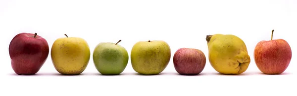 Siedem Jabłek Różnych Typów Odizolowanych Białego Tła — Zdjęcie stockowe