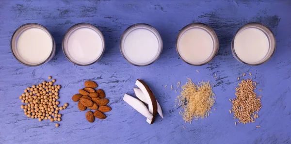 Tipi Latte Vegetale Biologico Bicchieri Sul Tavolo Pietra Blu Vista — Foto Stock