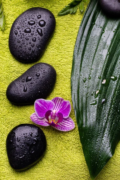 배경에 물방울로 마사지 난초와 — 스톡 사진